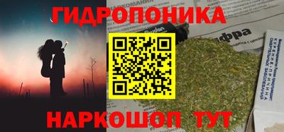 дживик Берёзовский