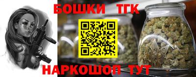 гашик Бийск