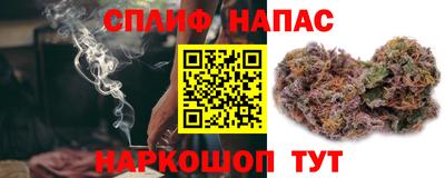 сатива Беслан