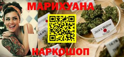гашик Бийск