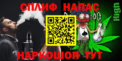 гашик Бийск