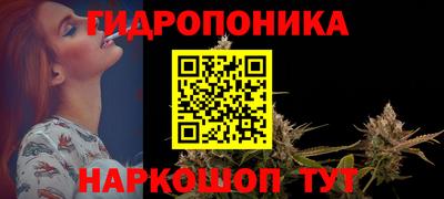 гашик Бийск