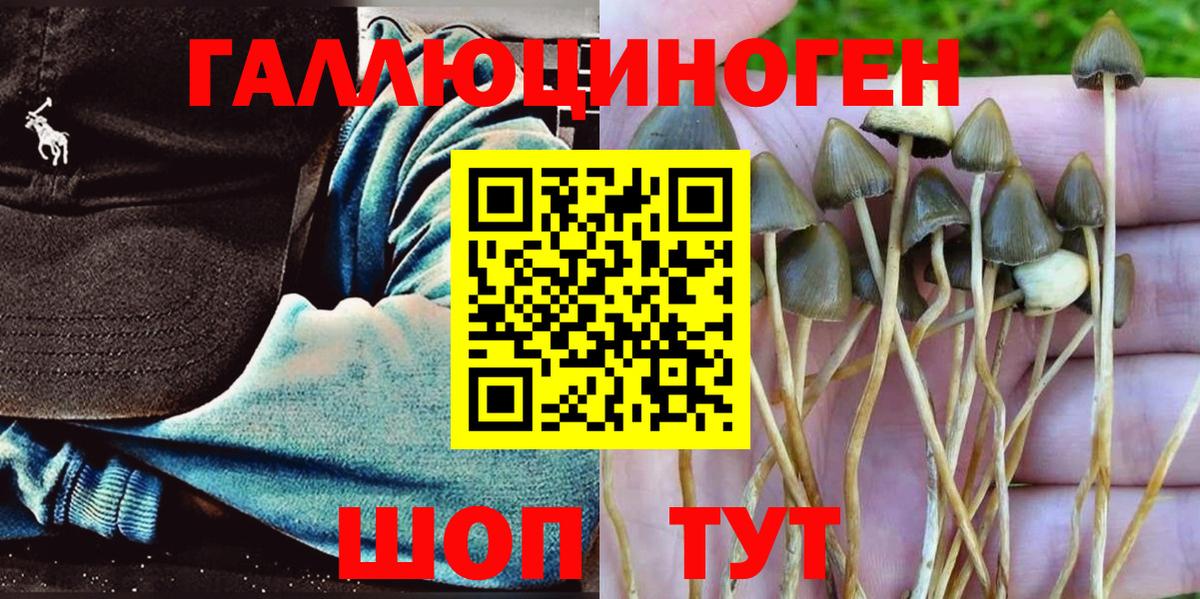 Галлюциногенные грибы мухоморы  Вход с VPN  Клинцы 