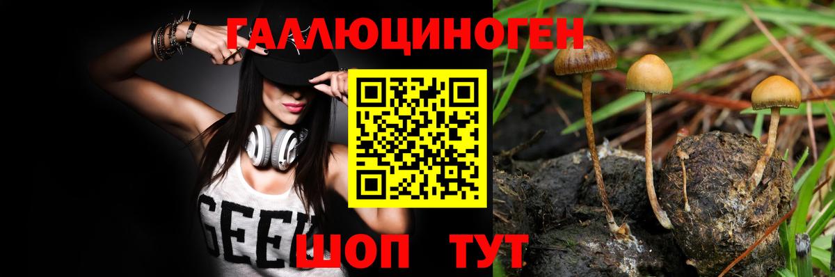 Галлюциногенные грибы мицелий Клинцы
